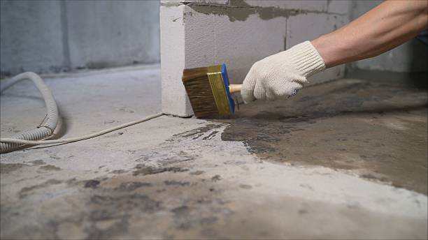 24/7 Emergency Crawl Space Encapsulation experts in Cranbury, NJ
